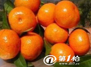广西桂林特产 桔子 沙糖桔_其他生鲜水果_第一