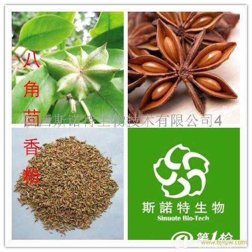 八角茴香提取物 八角茴香粉厂家 八角茴香浓缩粉批发