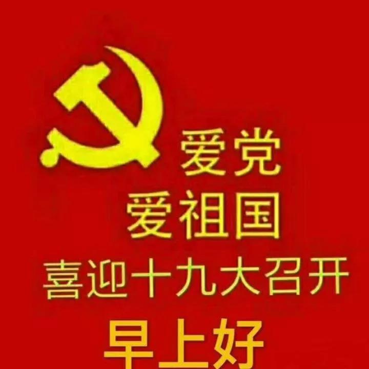 柴桑律师事务所党支部喜迎十九大