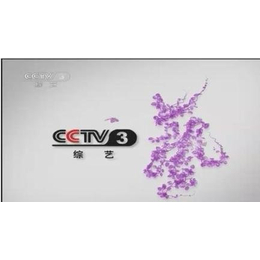 cctv3综艺频道广告费
