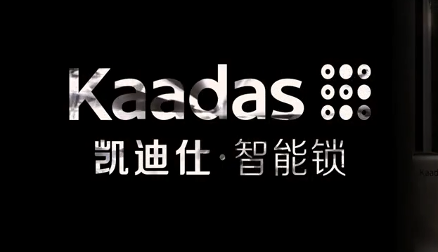 kaadas凯迪仕指纹锁5005 智能锁 家用防盗门智能锁