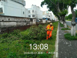 市政工程-衡阳市政工程哪家好