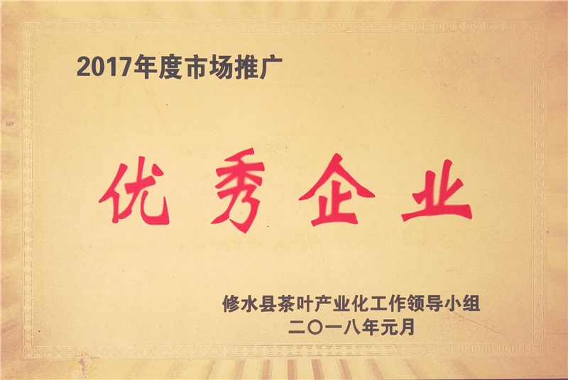 2017年度市场推广