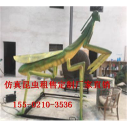 安庆昆虫模型出租价格