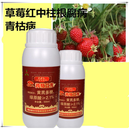 黔东南草莓红中柱根腐病防治方法