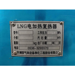 晋中2000方LNG*汽化器