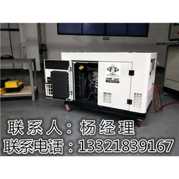 丽江15kw柴油发电机