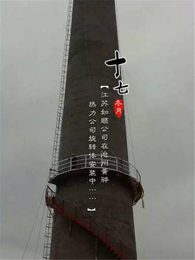 贵州烟囱爬梯安装