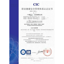 淮南ISO28001职业安全与健康管理体系