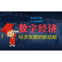 北京哪里有卖数字经济公司