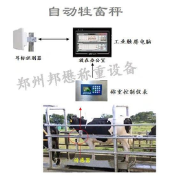 无人值守奶牛自动称重系统价格