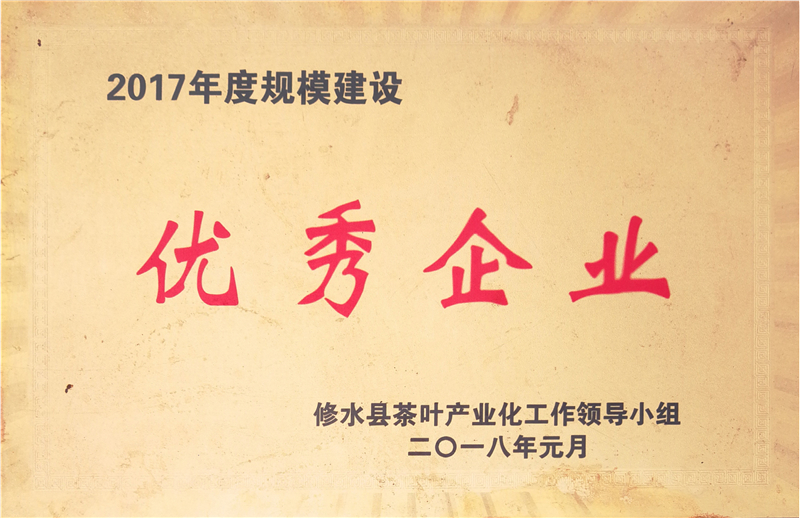 2017年度规模建设企业