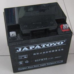 TOYO蓄电池-6GFM38TOYO蓄电池厂家