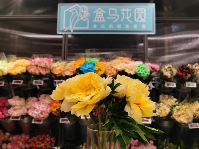 盒马旗下鲜花品牌升级 形成线上线下一体“身边花市”