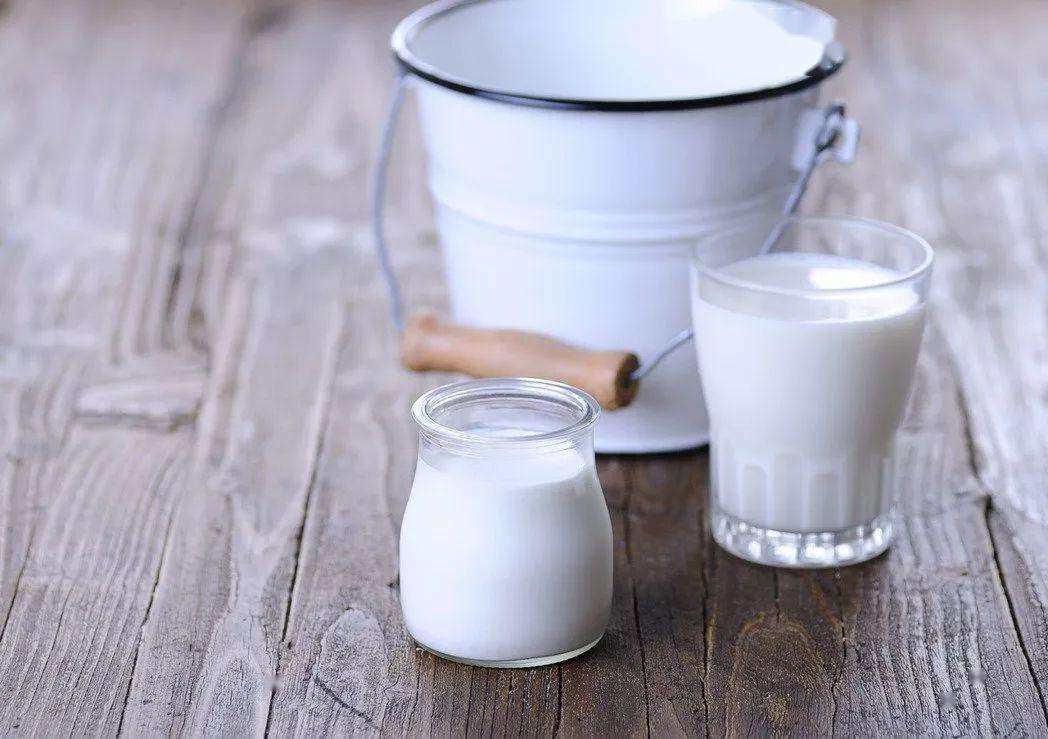 什么是水牛奶？喝起来什么味道你知道吗？