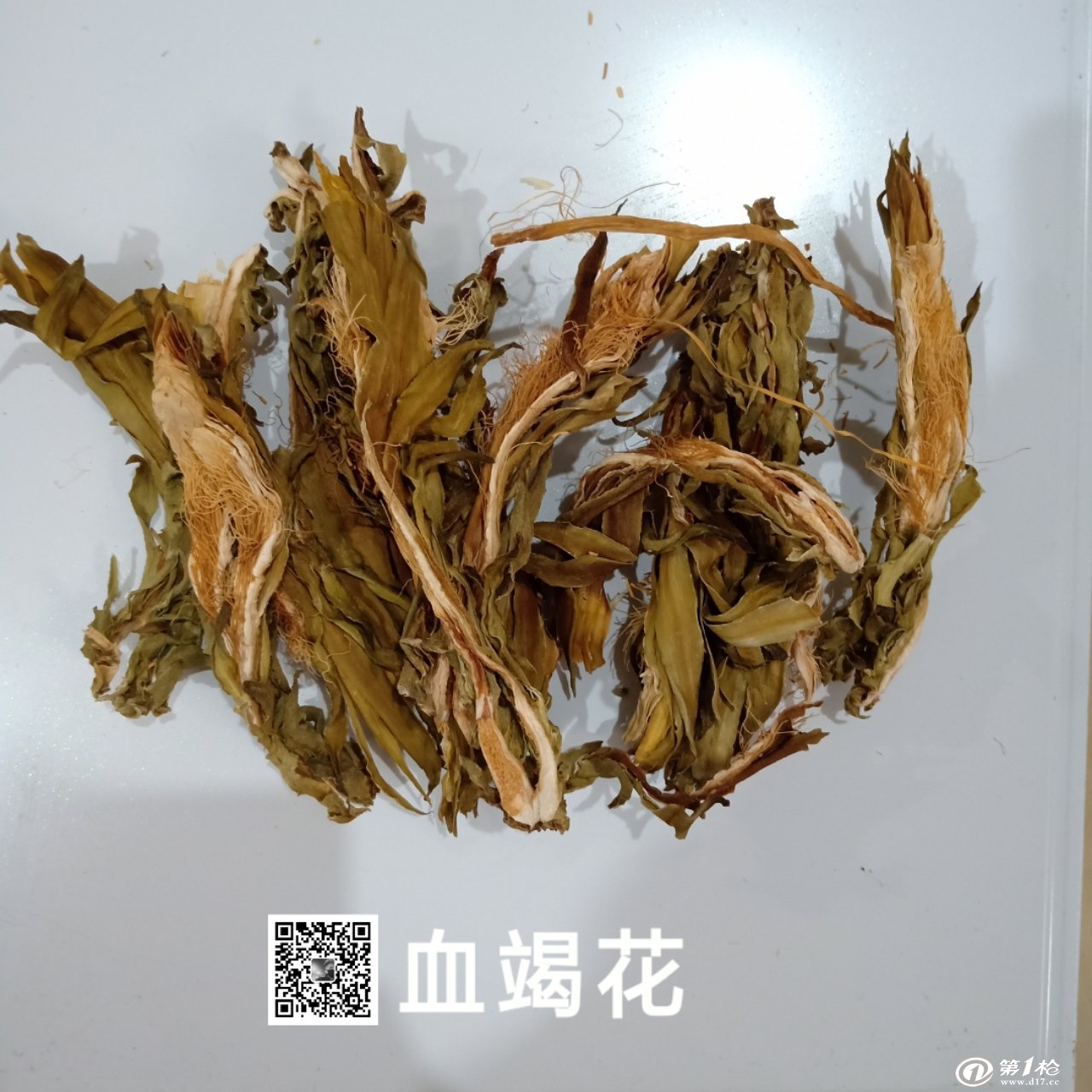 供应血竭花 血竭花价格