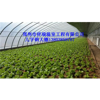 安阳钢架塑料蔬菜大棚建设图片郑州塑料蔬菜拱棚建造费用