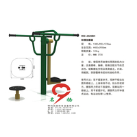 柳州名扬健身器材钟摆扭腰器 WD-2020BH