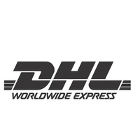 上海DHL进口报关公司