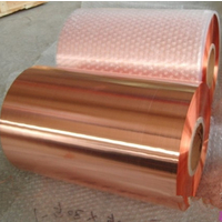 进口C1020无氧铜带 拉伸紫铜带 超薄高精密铜箔