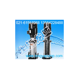 CDL2-13CDLF多级离心泵
