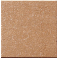 木纹瓷砖-佛山禅城-椰壳砖-地板砖800x 客厅