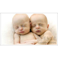 自然受孕的双胞胎是怎么养成的