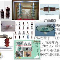 供应高压绝缘子低压绝缘子电站绝缘子