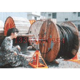 S-10油压式电缆放线架 台湾进口品牌