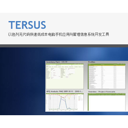 Tersus低成本开发企业管理软件缩略图