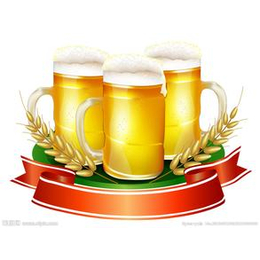 荷兰啤酒上海保税区报关有哪些流程