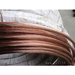 提供防雷工程中常用的镀铜扁钢镀铜钢绞线青岛风电防雷公司