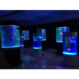 创意展览展会海洋生物展海洋展全国租赁海狮表演出租