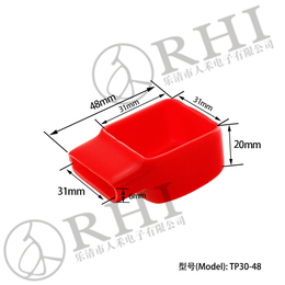 TP305-48电瓶端头保护盖