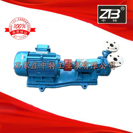 25W-110型旋涡泵