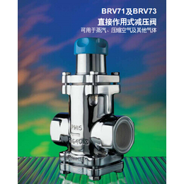 BRV71直接作用式蒸汽减压阀 斯派莎克减压阀尺寸