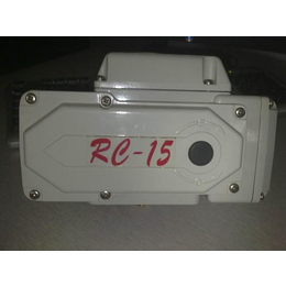 大量批发RC-15阀门电动执行器-电动执行器缩略图
