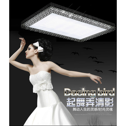 LED鸟巢长方形客厅餐厅卧室灯铁艺调光调色创意灯饰