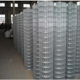 厂家批发供应焊接电焊网 不锈钢电焊网 建筑防护网