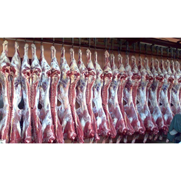 供应肉类冷藏及冷冻库设备厂家包头市昆都仑区