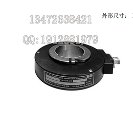 HLE55-600-3F渡边编码器Watanabe Elec