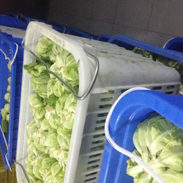 单位食堂蔬菜配送-鼎魁农产品有限公司