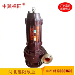 福阳泵业(图)、广东洗煤厂*泵潜水渣浆泵、潜水渣浆泵