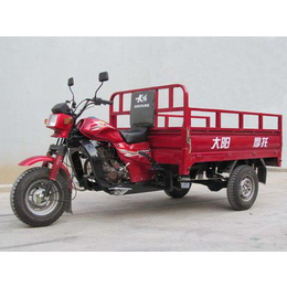 供应大阳DY175ZH-3三轮摩托车 载运三轮车 水冷型
