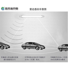 鑫龙海光电(图),微波雷达led吸顶灯,鹤岗雷达led