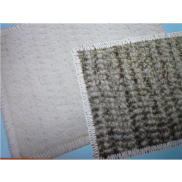 汕尾膨润土防水毯,儒风土工(在线咨询),膨润土防水毯价钱