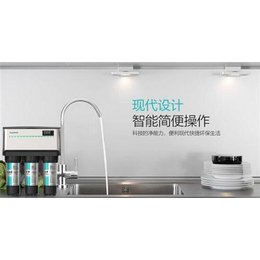 阳江净水器_小米净水器_水菱水处理批发(多图)