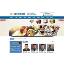 郑州网站托管、软银科技、网站维护公司缩略图