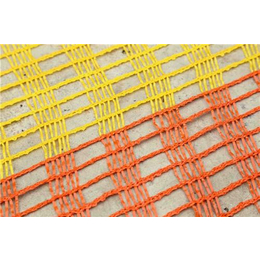 塑料网|泰安佳瑞建材(在线咨询)|橙色塑料网