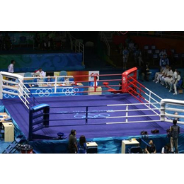 拳击台图片、潍坊拳击台、猛龙体育用品(图)